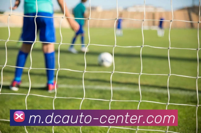 亚虎体育平台生态图