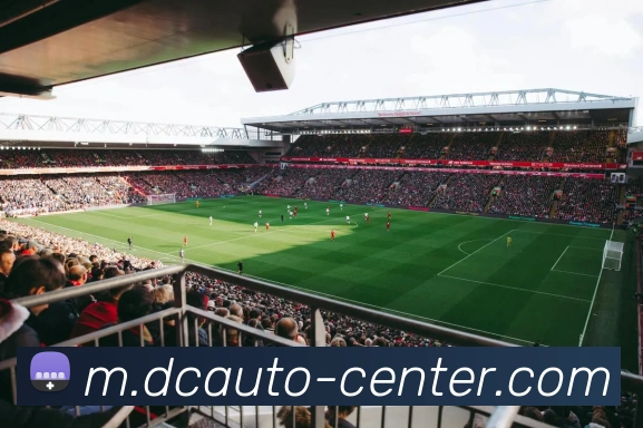 App Interface Preview