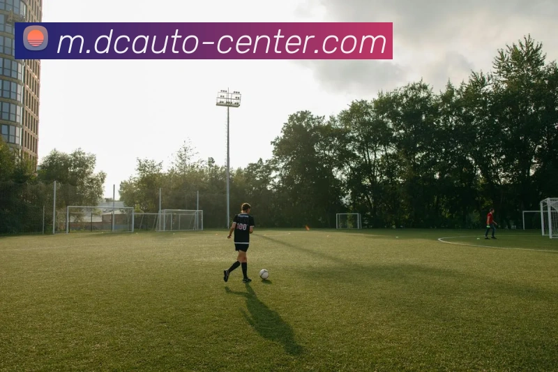 亚虎体育APP 封面图